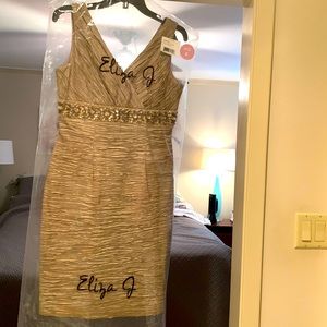 Eliza J dress size 6